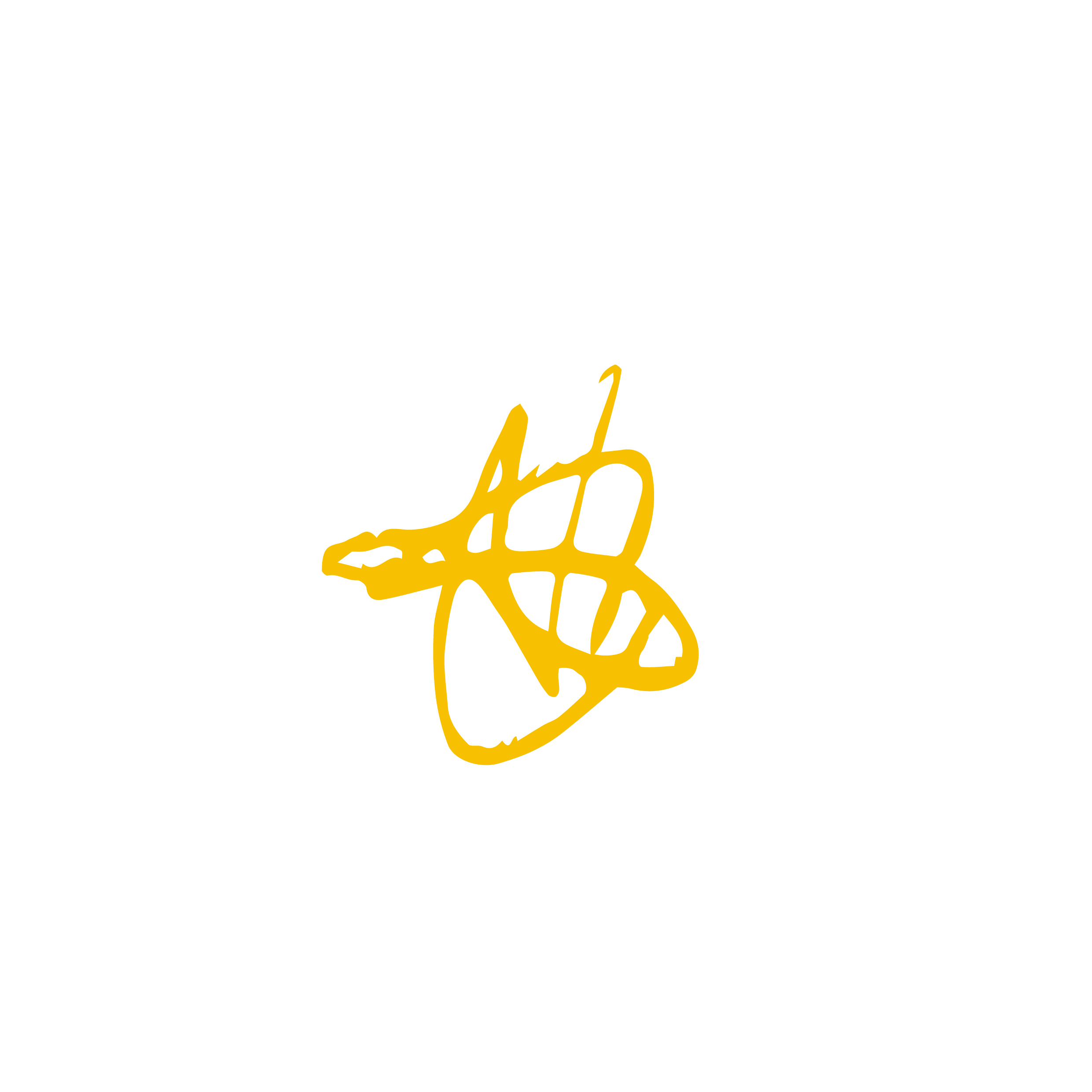 Translucent crown and flame motif from the Kings & Priests visual identity.